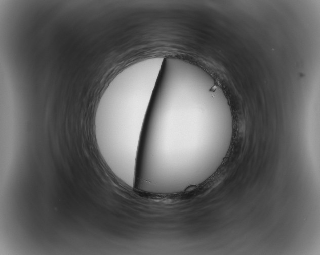 X0000085310759200703091054