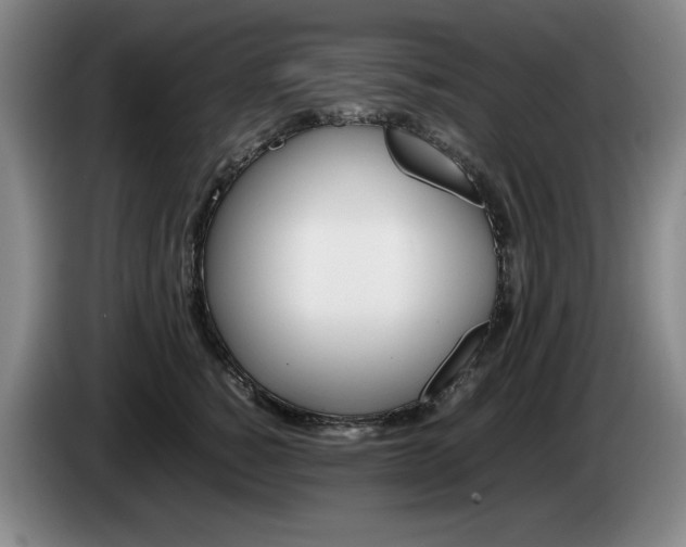 X0000085310760200703091054