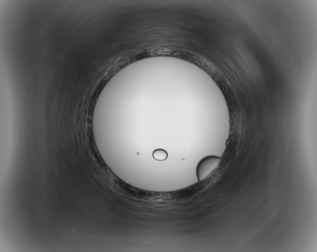 X0000085310761200703091054