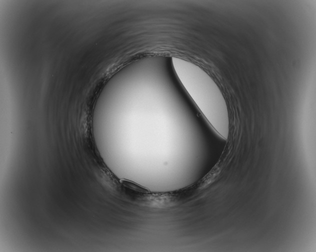 X0000085310762200703091054