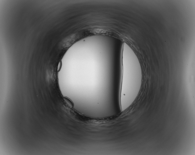 X0000085310763200703091054