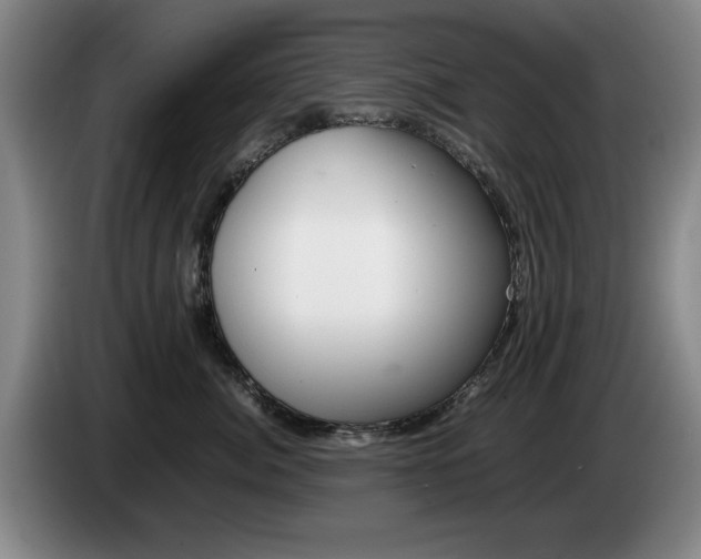 X0000085310764200703091054