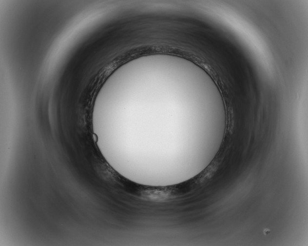 X0000085310765200703091054