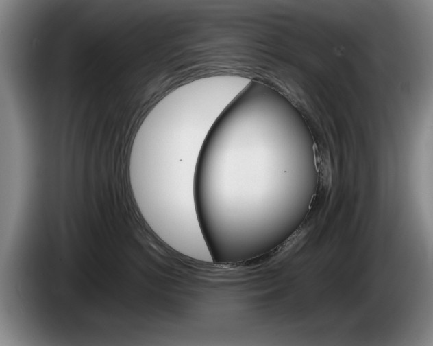 X0000085310766200703091054