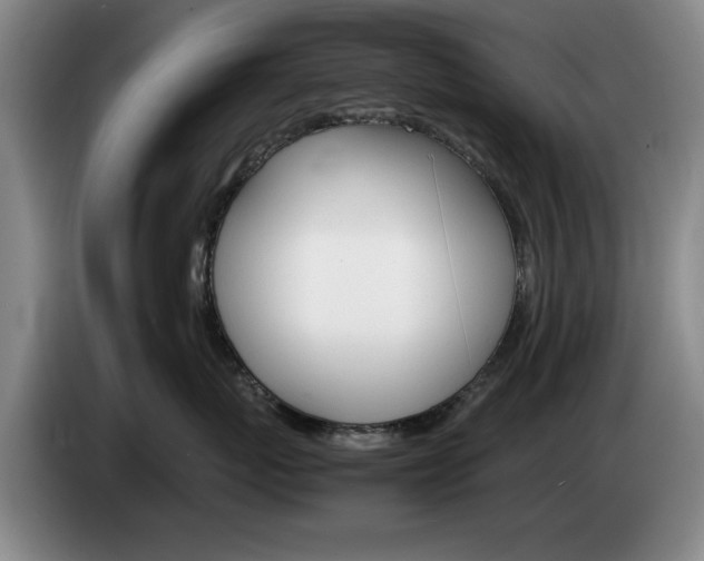 X0000085310767200703091054