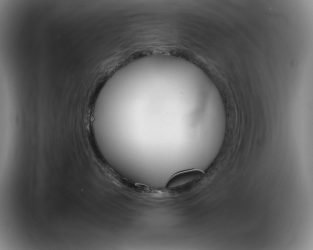 X0000085310768200703091054