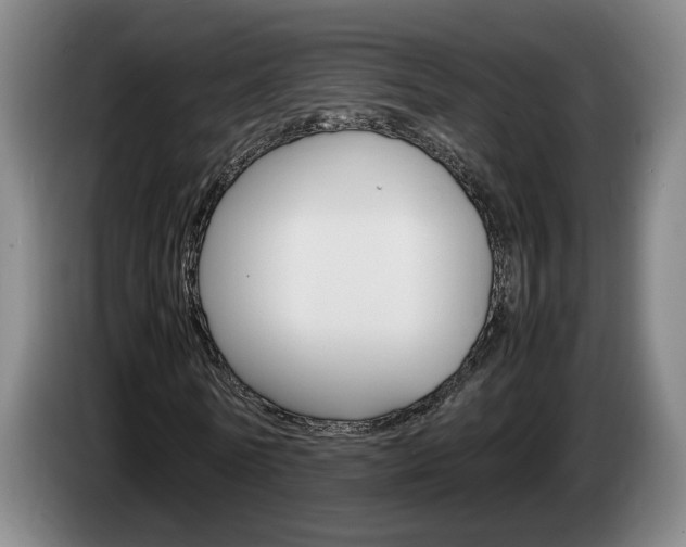 X0000085310770200703091053
