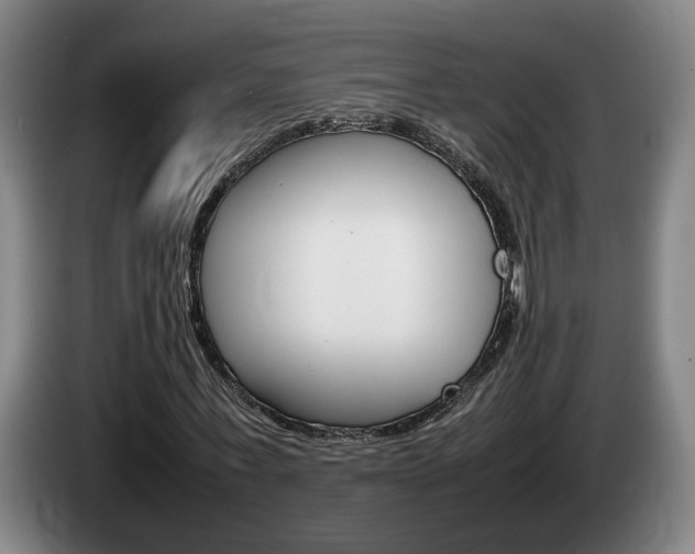 X0000085310771200703091053