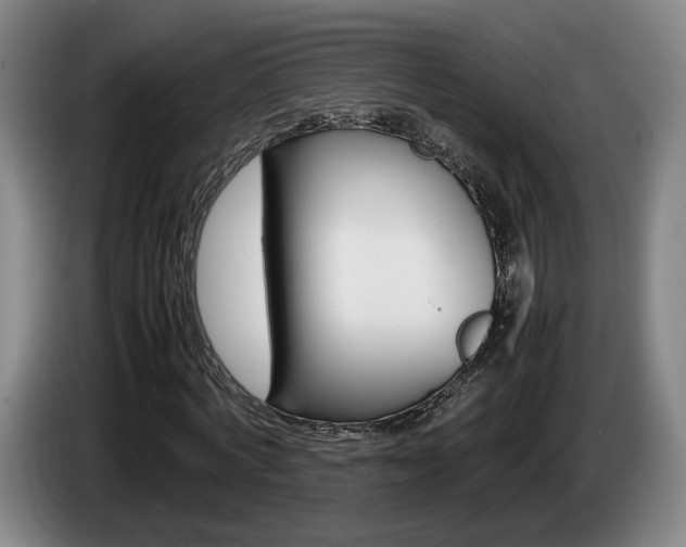 X0000085310772200703091053