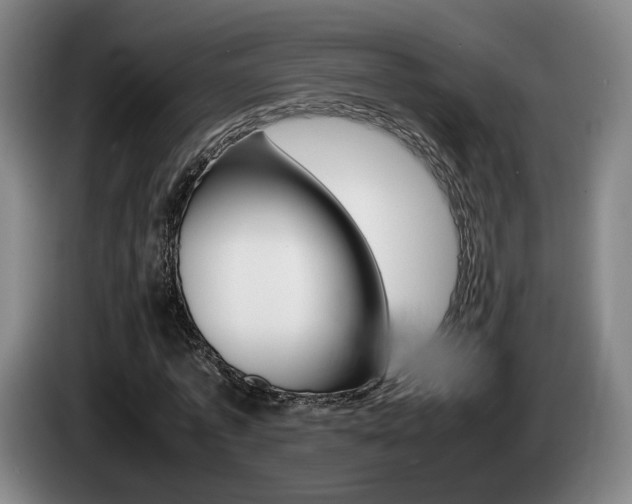 X0000085310773200703091053