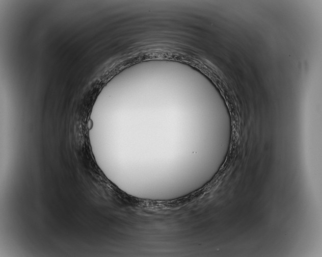 X0000085310774200703091053