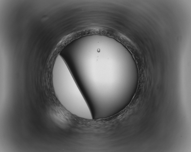 X0000085310776200703091053