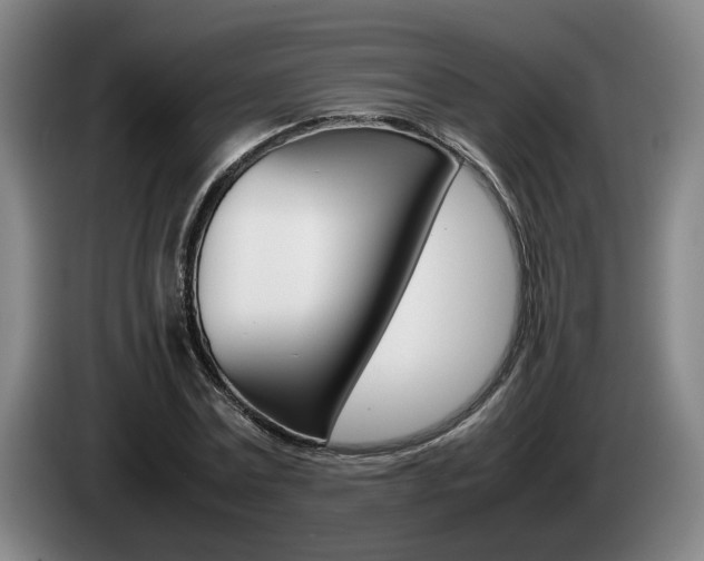 X0000085310779200703091053