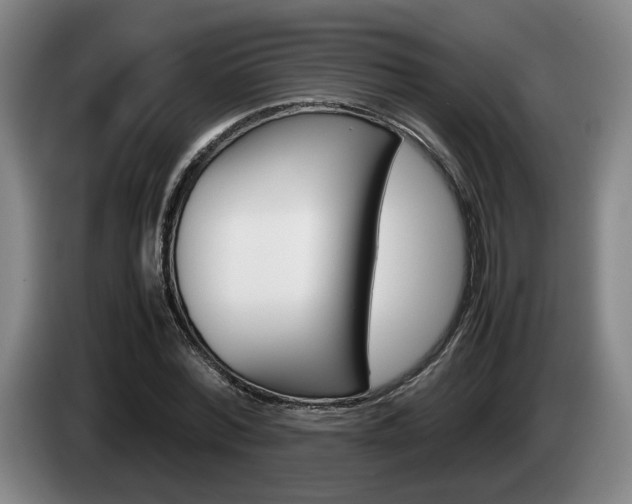 X0000085310780200703091053