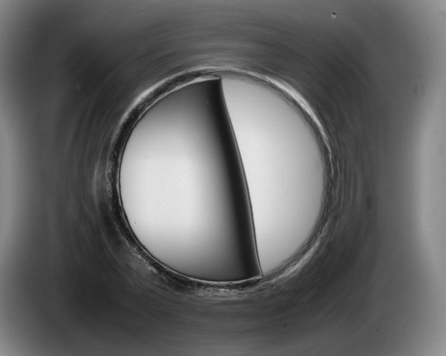 X0000085310783200703091053