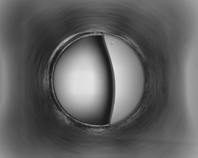 X0000085310784200703091053