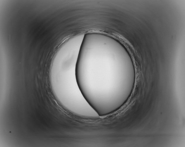 X0000085310785200703091053