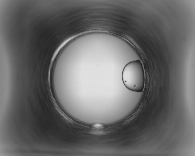 X0000085310788200703091053