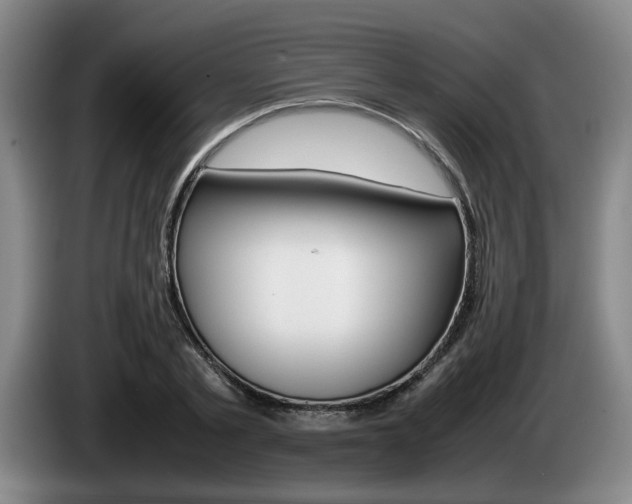 X0000085310789200703091053