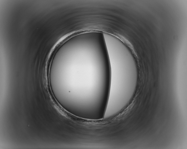 X0000085310792200703091053
