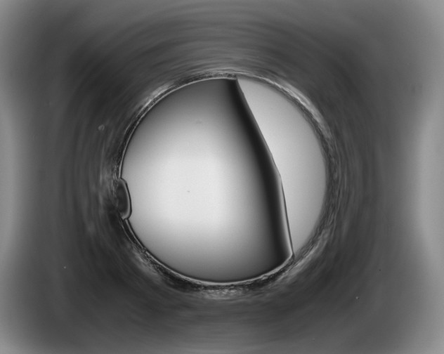X0000085310793200703091053