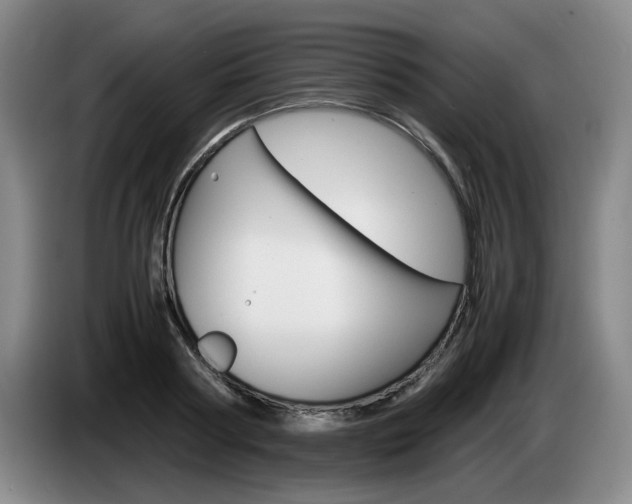 X0000085310794200703091053