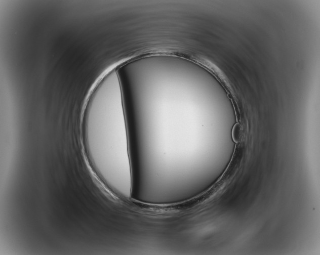 X0000085310795200703091053