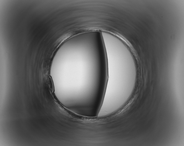 X0000085310801200703091053