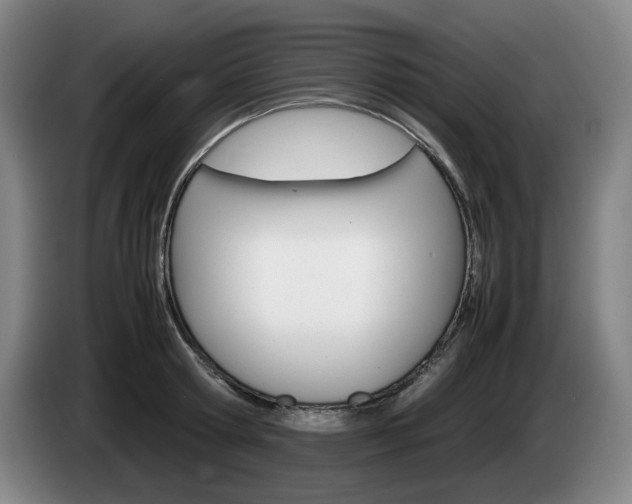 X0000085310802200703091053