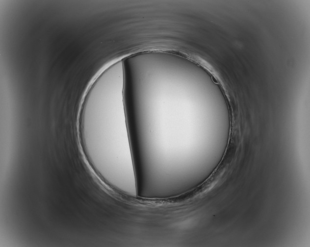 X0000085310803200703091053