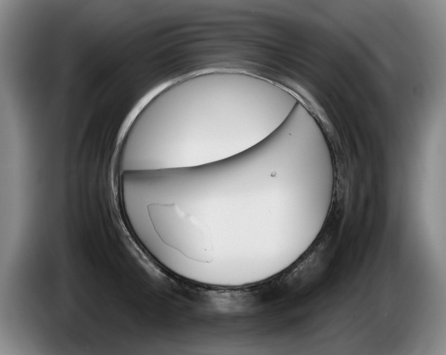 X0000085310804200703091053