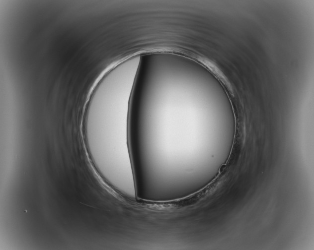 X0000085310805200703091053