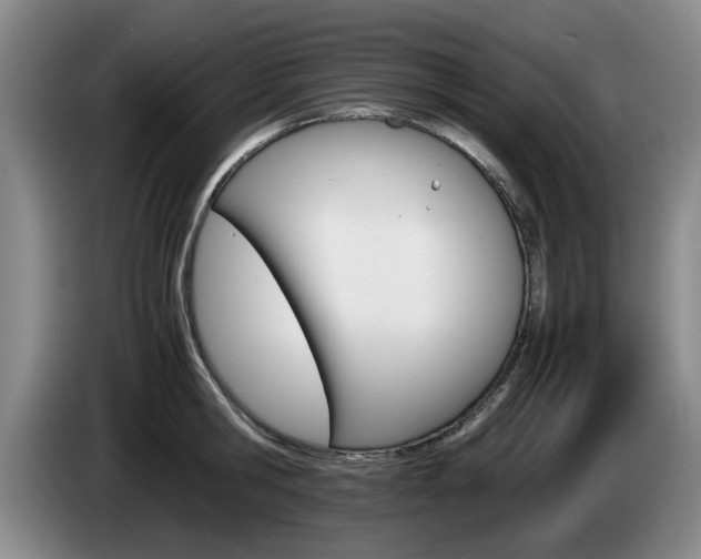 X0000085310806200703091053