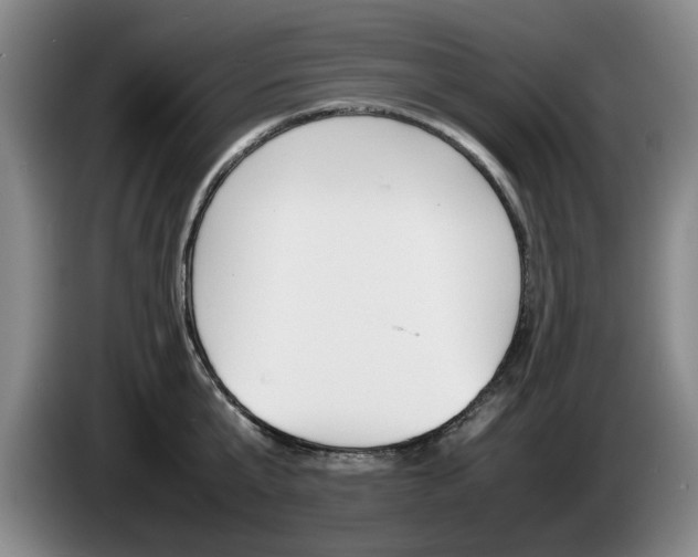 X0000085310807200703091053