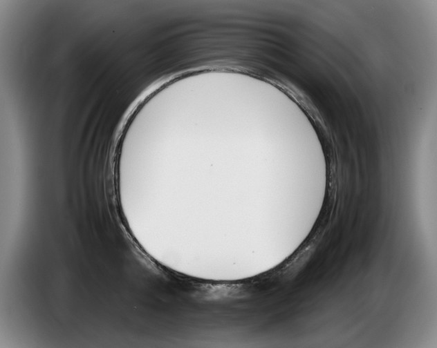 X0000085310808200703091053