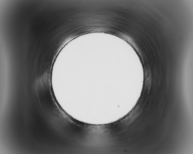 X0000085310810200703091053