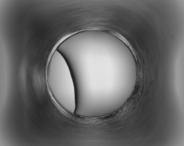 X0000085310811200703091053