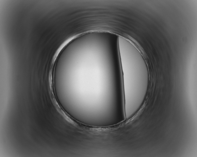 X0000085310812200703091053