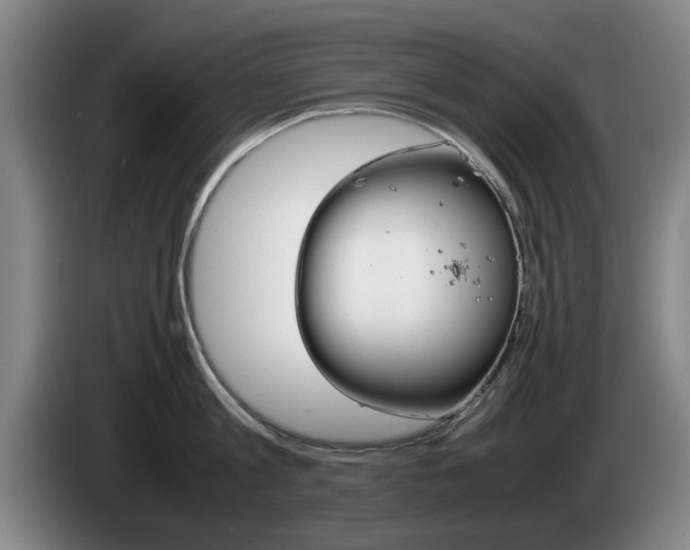 X0000085310813200703091053