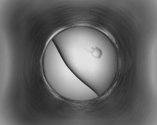 X0000085310814200703091053