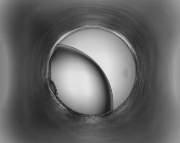 X0000085310815200703091053