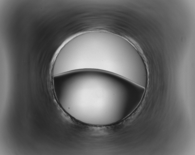 X0000085310816200703091053