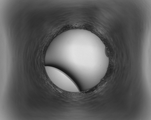 X0000085310817200703091052