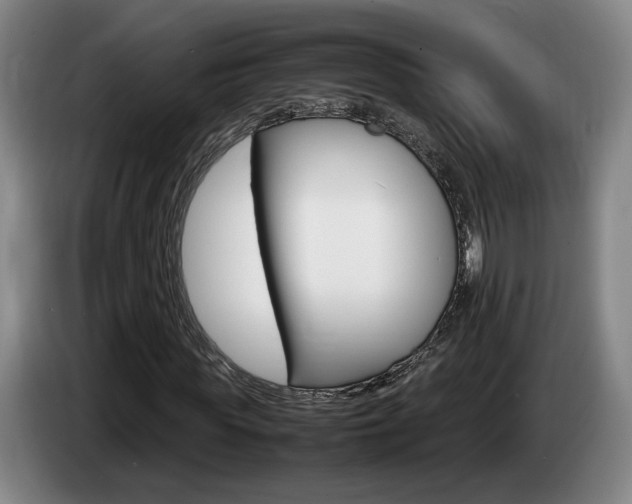 X0000085310819200703091052