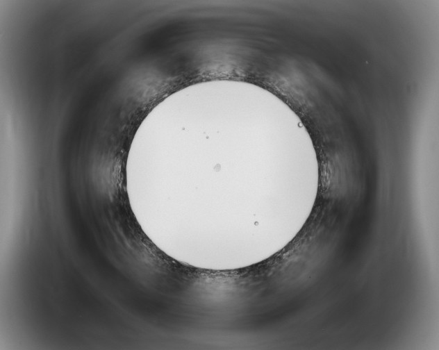 X0000085310820200703091052