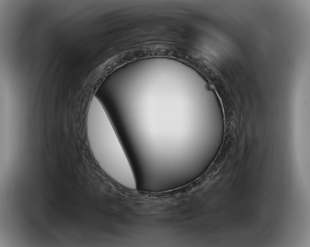 X0000085310821200703091052