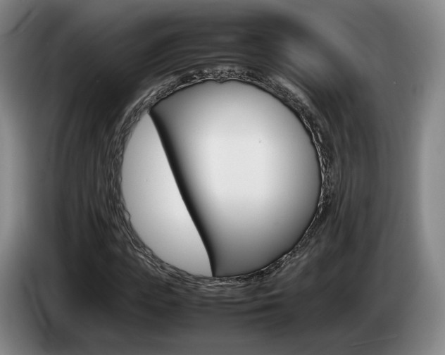 X0000085310823200703091052