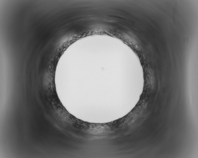 X0000085310824200703091052