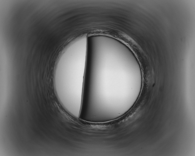 X0000085310825200703091052