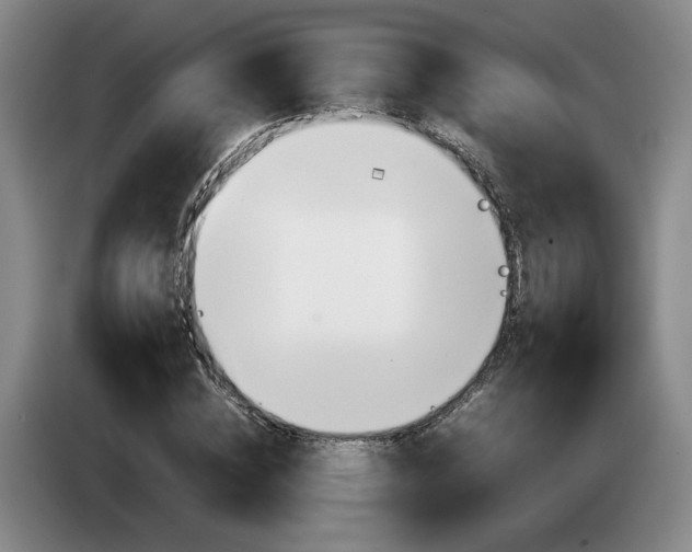 X0000085310828200703091052